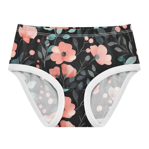 Toddler Girls Underwear 2t Cotton Girl Panties Cute Florals Underpants Briefs Pink Teal Floral Black