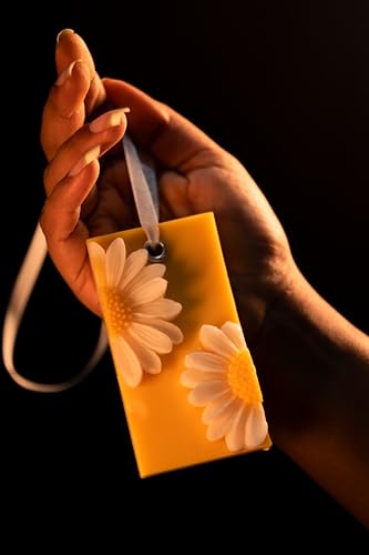 Wardrobe Freshener for Clothes & Cupboard Freshener | Wax Sachet Soy Wax | Home Fragrances | Long Lasting Freshness up to 45 Days | Handmade (1, Frangipani)