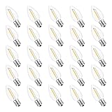 Jslinter 25Pack C7 LED String Light Bulbs Replacement, 5000K Daylight, W(11W Equivalent), 60LM, Shatterproof, E12 Screw Base, Vintage Edison Bulbs for Patio Garden