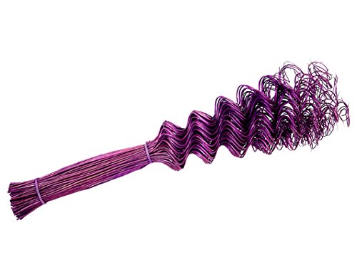 Steingaesser 12000 03 6702 Twisted Willow Botte de 80 Branches de Saule tortueux Azalée 50 cm