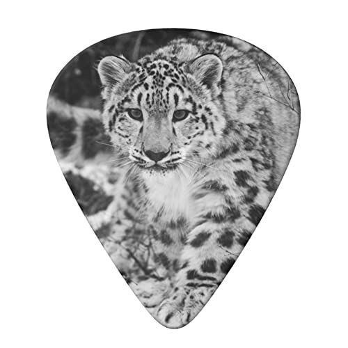 Ensemble de 6 médiators de guitare léopard des neiges pour guitare acoustique, guitare électrique, basse, ukulélé – fin… - Les Beatles, Paul McCartney, John Lennon, RIngo Starr, George Harrison Ensemble de 6 médiators de guitare léopard des neiges pour guitare acoustique, guitare électrique, basse, ukulélé - fin… – Image 4