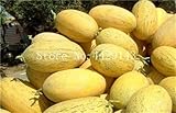 Sump Fresh 50 pcs Semillas de frutas de melón para plantar Amarillo claro