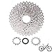 Cassette de Bicicleta de Montaña de 8 Velocidades, Bicicleta Cassette Piñón Rueda Libre, Súper Ligero, Aplicar para Bicicleta de Montaña, Bicicleta de Carretera(Plata)