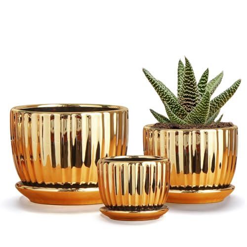 Ton Sin Gold Plant Pots