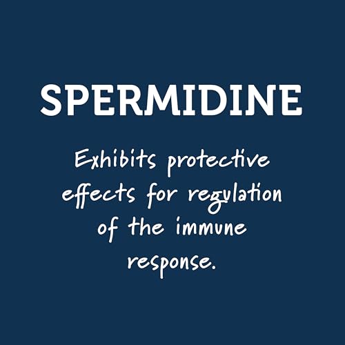 Immunity Support Shots with Organic Ginger + Honey | Vitamins C, D, B6, B12 and Zinc | Liquid Immune Defense Infused with Natural Resveratrol and Spermidine | 6 Pack (2.5 Fl oz) - Image 5