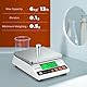Bonvoisin Zählwaage 6000g 0.1g, Präzisionswaage Laborwaage, Industrie Analysenwaage, Präzise Schmuck-Goldwaage, Tischwaage mit CE-Zertifizierung, Elektronische Batteriebetriebene Waage (6Kg, 0,1 g)