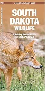 South Dakota Wildlife: A Folding Pocket Guide to Familiar Animals (Nature Observation North America)