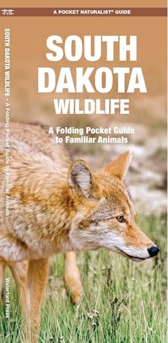 South Dakota Wildlife: A Folding Pocket Guide to Familiar Animals (Nature Observation North America)