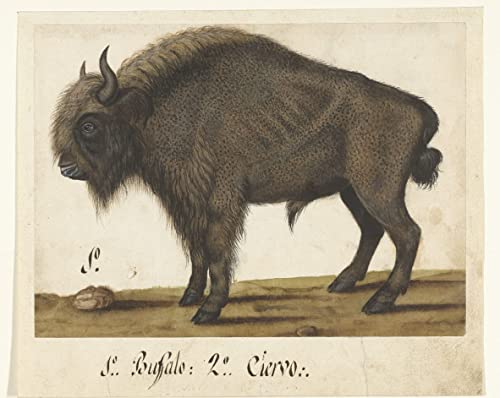 Toile abstraite Albumblatt Mit Einem Bison pour habiller un grand mur vide de salon