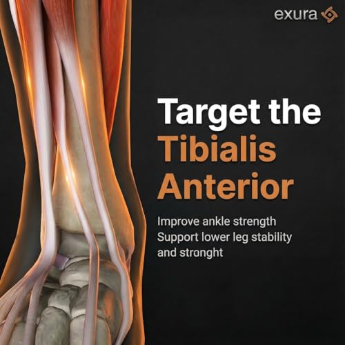 Exura Tib Bar Adjustable Tibialis Trainer for ATG & Knees Over Toes, Fits 1” and 2” Plates, Tibialis Bar for Shin, Ankle & Lower Leg Strength, Calf Raise & Leg Extension Workouts by EXURA - Image 4