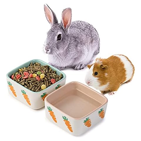 JanYoo Kaninchen Zubehoer Futternapf Keramik Meerschweinchen Trockenfutter Wasser Duo Napf Igel Hamster Sachen klein Blau und Rosa Cover
