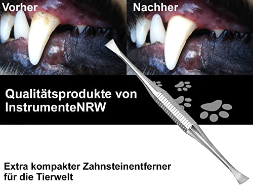 Mini Hunde Zahnsteinkratzer Zahnsteinentferner Haustier Zahnpflege Zahnreiniger für Tiere Zahnbürsten-Alternative aus Edelstahl
