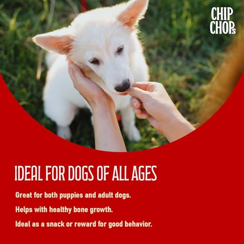 Chip Chops Chicken Chips Coins Dog Treats | High Protein, Easily Digestible, Healthy Chicken Snack for Dogs | Ideal for All Breeds, Ages & Training Rewards, 70 gm