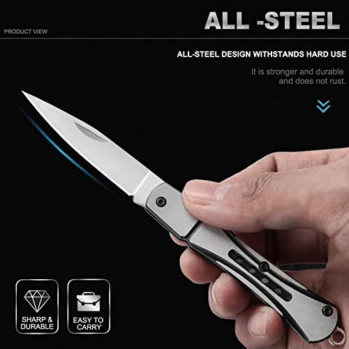 Edc Folding Pocket Knife/Keychain Knife, Slim Pocket Knives For Women, Small Folding Knife For Men, Fruit Knife/Key Knife/Box Opener/Letter Opener/Camping Knife For Everyday Carry - Sliver #TOP1