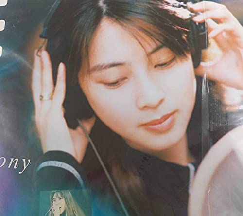 kimigainai WEZARD Vol.39〜50 12冊セット kimigainai WEZARD Vol.39〜50 12冊セット kimigainai WEZARD