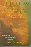 Little things in the hands of a big God