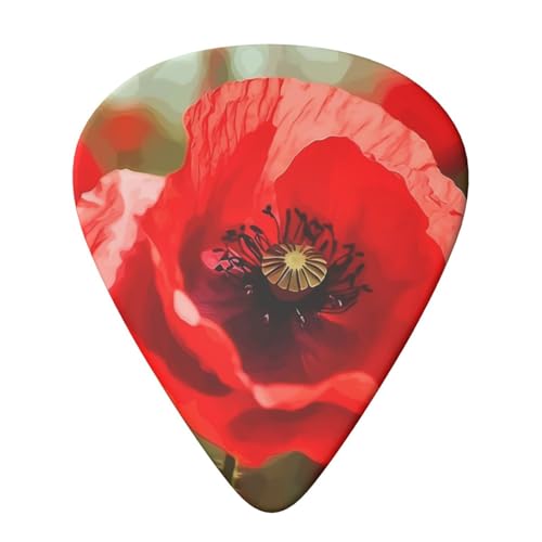 Evanem �M�^�[�s�b�N �v���N�g���� �I�[�K�i�C�U�[���[�{�b�N�X�t�� ���������b�h�|�s�[�t�����[�x�[�X �G���L�E�N�����s�b�N�p �A�R�[�X�e�B�b�N�M�^�[�p 0.46mm 6�p�b�N