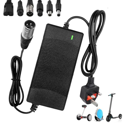 Rppiup 42v 2A Electric Scooter Charger,Hoverboard Charger with 6 Connections, Fast Charging Electric Bike Chargers for Li-Ion Battery, for Mobility Wheelchair, Bike, MobilityScooter