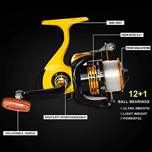 Fishing Rod and Reel Combo，Medium Heavy Poles and Reels Y7.9ft(2.4m)