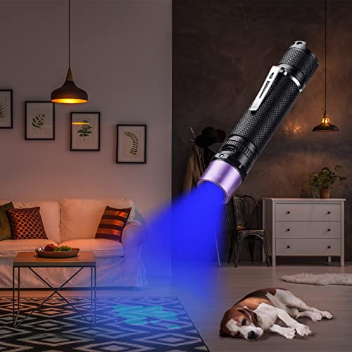 Lightfe Uv304 Uv Flashlight - High Power Ultraviolet - Rechargeable Type-C Can Be Used For Uv Glue Curing, Pet Urine Stains, Ore Fluorescent Agent Detection, Etc. #TOP5