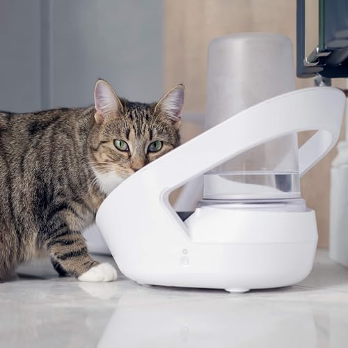 Sure Petcare Felaqua Connect, Katzen-Wassernapf, kompatibel mit RFID-Halsbändern und Mikrochips, batteriebetrieben, Überwachung des Trinkverhaltens, Verbindung mit App, katzenfreundliches Design
