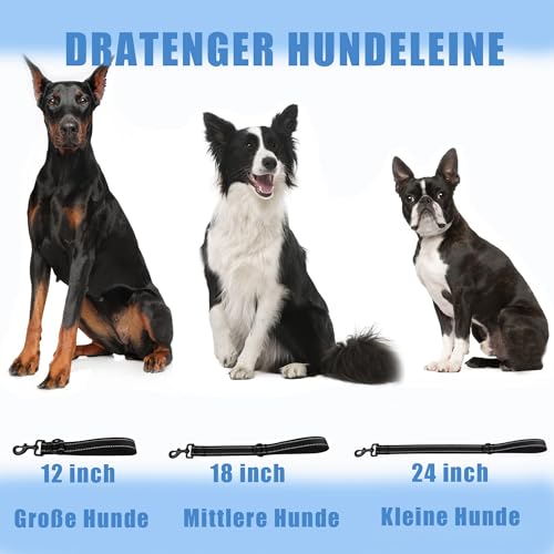 Kurzführer Hund 30cm, Hundeleine kurz mit Metallclip und Weiche Polsterung, Reflektierend Nylon Hundeleine Geeignet für Mittlere Große Hunde(Orange,S)