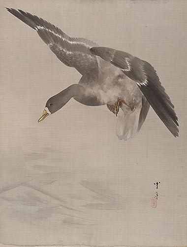 Peinture celebre canard Watanabe seitei art imprime toile prestige 60x90