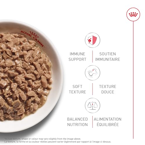 Royal Canin Feline Health Nutrition Kitten Thin Slices in Gravy Canned Cat Food, 3 oz can (12-Count) image 5