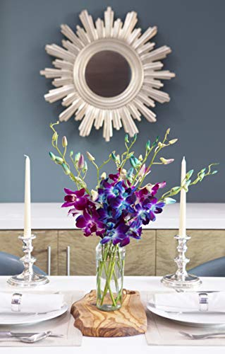 Image of KaBloom-10 Blue&Purple Orchid Bouquet,Flowers for Valentine, Mother's Day