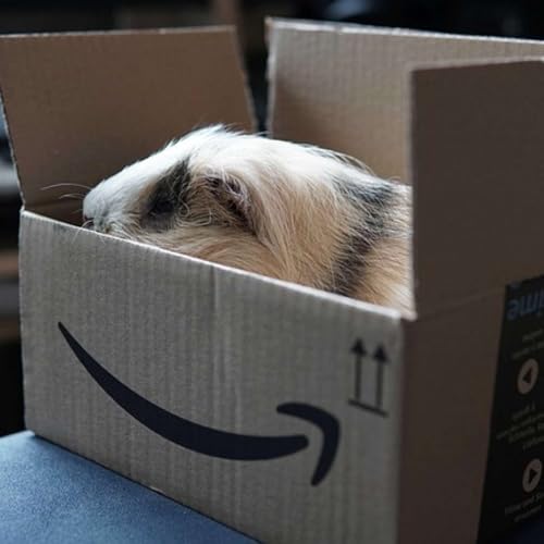 Amazon Prime Days June 23 to June 26, 2026