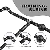 Arblina Retrieverleine mit Zugstopp, Retrieverleine für Kleine/Mittlere/Große Hunde mit Doppelten Griffen, Training Hundeleine mit Hi-vis Licht-Reflektierendem Design, Slip Lead for Dog, Schwarz, 1.3m