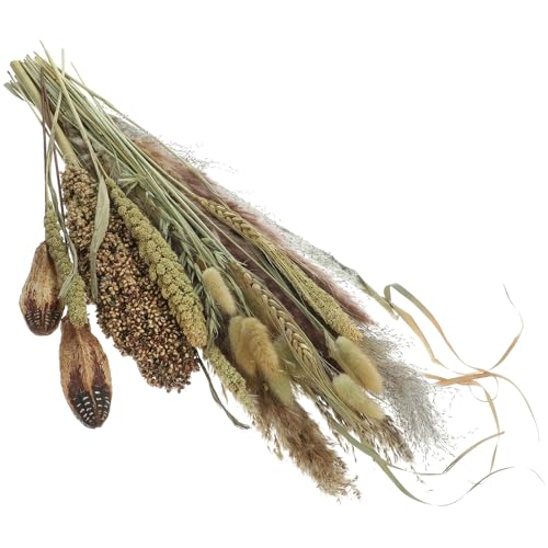 Ramo de Pasto Pampas Seco Natural Bohemio para Decorar miniatura 1