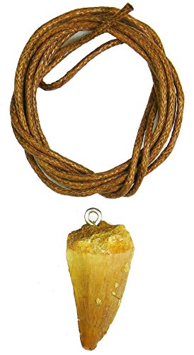 Steengoed, Collana “NL 70Mio Years Old”, con