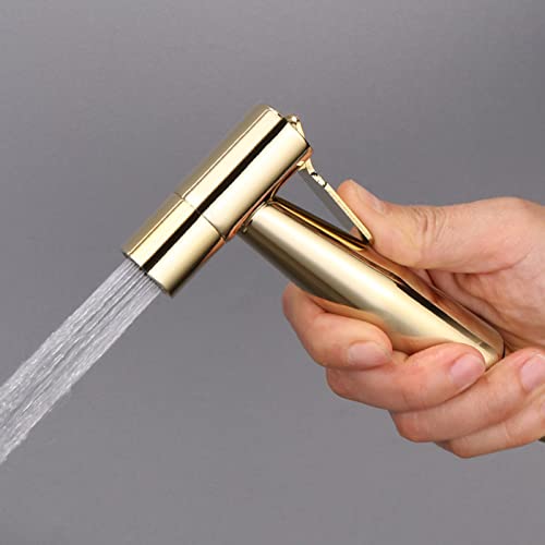 Pulvérisateur de bidet pour toilettes doré multifonctionnel mural eau froide