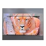 72 Zoll Grau Photon Leinwand Beamer, 16:9 4K HD Tragbare Roll-up Projektionsleinwand mit 1,8 Gain für Heimkino, Gartenpartys und Filmabende