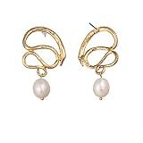 Pendientes Colgantes con Forma de Cisne de Perlas Naturales de Agua Dulce, joyería para Mujer, Pendientes geométricos de Metal únicos