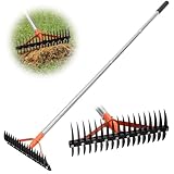 CKLT Thatch Rake for Lawns 18 Sharp Tempered Spring Steel Tines Dethatcher Rake Heavy Duty Dethatching Rakes with 62.5' Adjustable Stainless Steel Handle for Lawn Care，Dead Grass, Garden, Yard