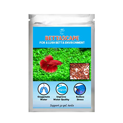 SunGrow Betta Glosso Seeds, Amphibious Carpet Plant, Mid and Foreground Tank Decor Provide Shelter and Security, Stress Reliever, Keep Fish Healthy, Short Germination Time, 2 Ounce Pack