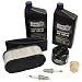 Stens 785-654 Engine Maintenance Kit