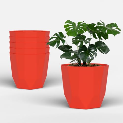 Image of YUCCABE ITALIA SHERA Hexa Plastic Planter Pot for Plants | Decorative Flower Pot | UV Protected Lightweight Indoor Outdoor Gamla for Home Decor, Balcony, Garden & Living Room