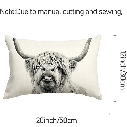 Rabusofa Western Decor Lumbar Pillow Covers 12X20,Highland Cow Print Pillows Decorative Throw Pillows,Funny Outdoor Cow Cushion Cases Farmhouse For Couch Sofa Bedroom Gray #TOP6
