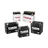 Yuasa YUAM320BS YTX20L-BS Maintenance Free AGM Battery with Acid pack