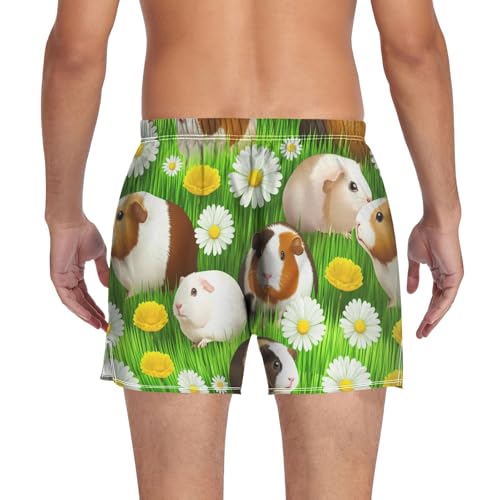 Guinea Daisies Meadow Men's Cotton Boxer Shorts Pajama Bottoms Sleep Shorts Underwear with Button Fly2