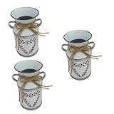 Pot à lait - style vintage, finition soignée, pour votre décoration végétale, créez une vue pour votre maison, pichets rustiques