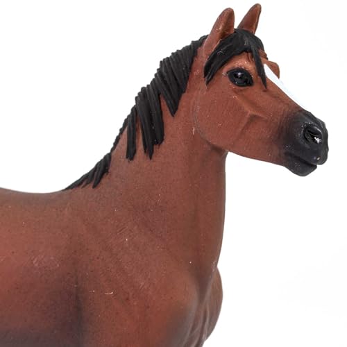 Morgan Stallion pour vos soirées en ville et rendez-vous pro