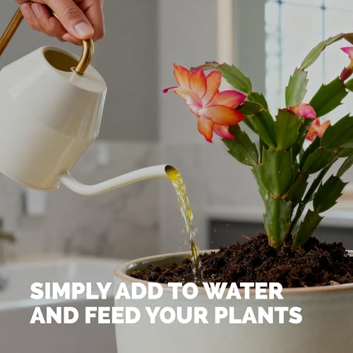 TPS NUTRIENTS Christmas Cactus Fertilizer for All Christmas Cacti and Schlumbergera Cacti, Liquid Plant Food 8 oz (250mL)