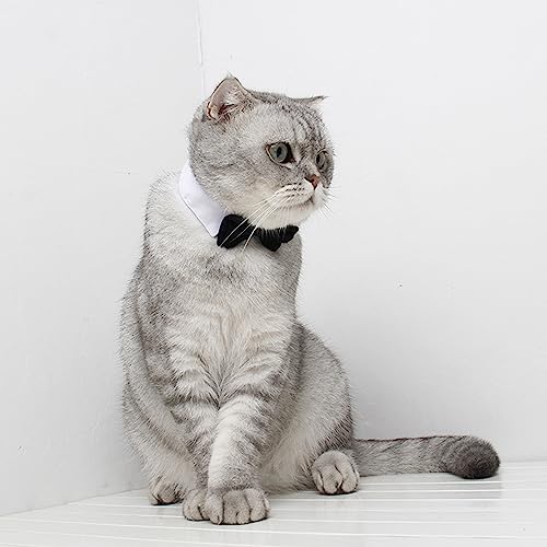 SUNTRADE Verstellbare formelle Haustier-Fliege für Hunde und Katzen, Hochzeits-Kostüme (S, Schwarz)