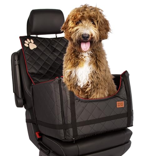 Golden Dog - Trasportino per cani con cintura di sicurezza XL – 75 x 55 x 33 cm – in pelle imitazione seggiolino auto – sedile passeggero per cani pieghevole – cintura di sicurezza per cani auto –