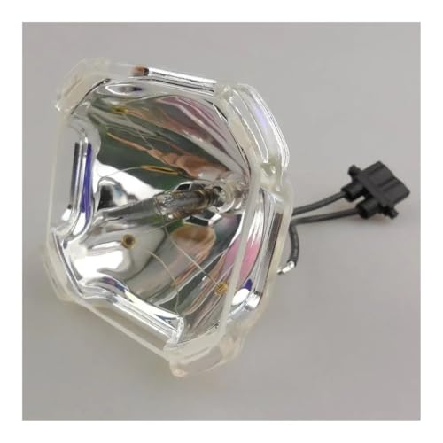 Ampoule nue POA-LMP100 pour projecteur compatible Sanyo PLC-XF46 et Eiki LC-XT4