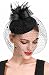 Fascinator Hats for Women Pillbox Hat with Veil Headband and a Forked Clip Tea Party Headwear